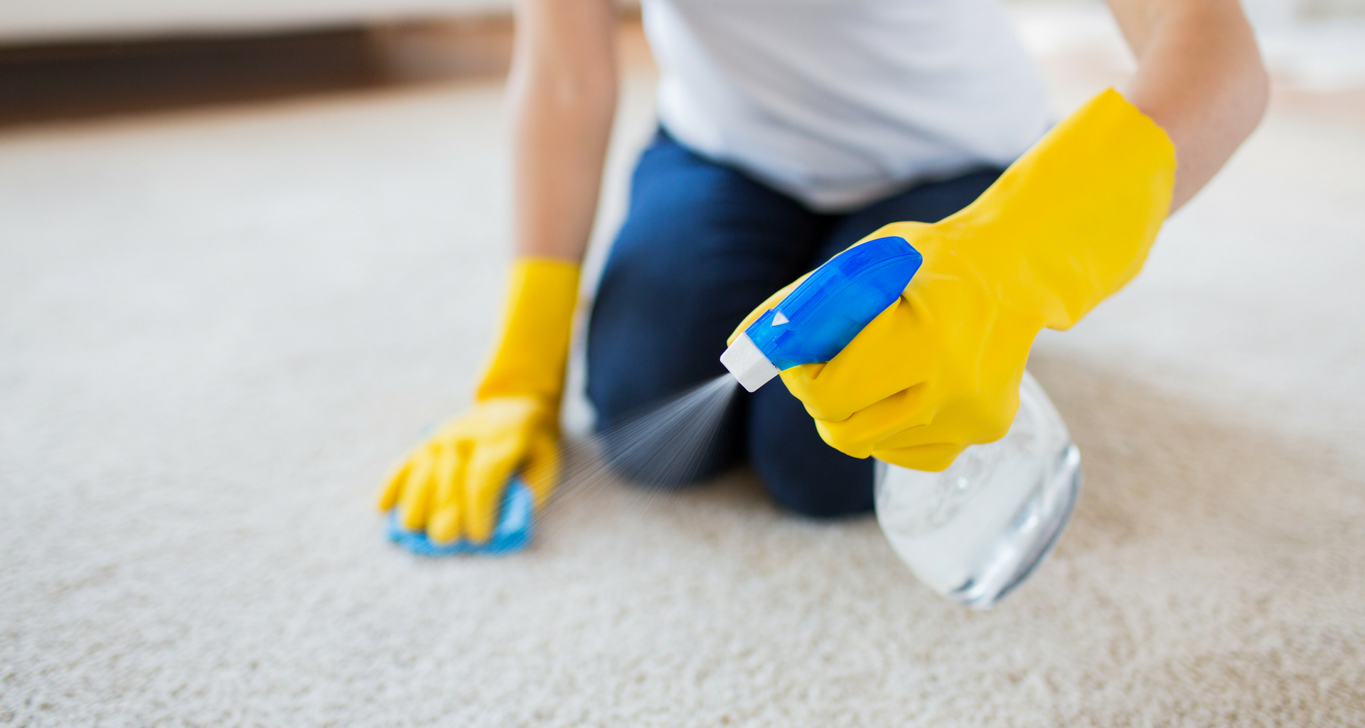 Cleanning Carpet Services