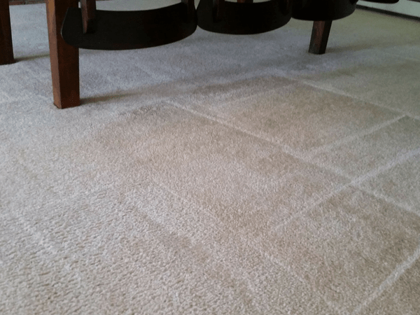 family cleaning carpet after