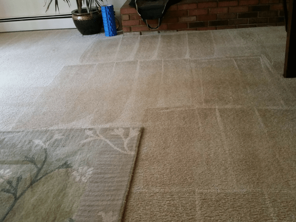 family cleaning carpet after